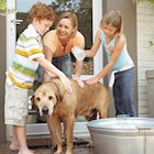Ways Owning a Pet Can Teach Kids Responsibility